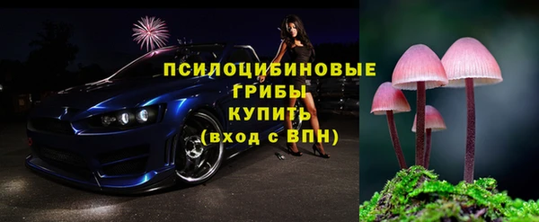 винт Магас