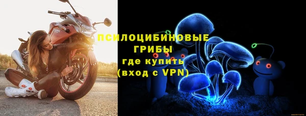 дживик Лихославль