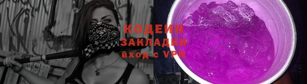 шишки Лиски