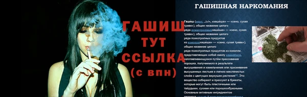 шишки Лиски