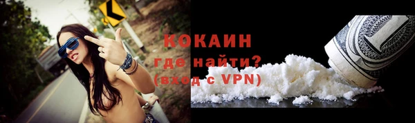 индика Липки