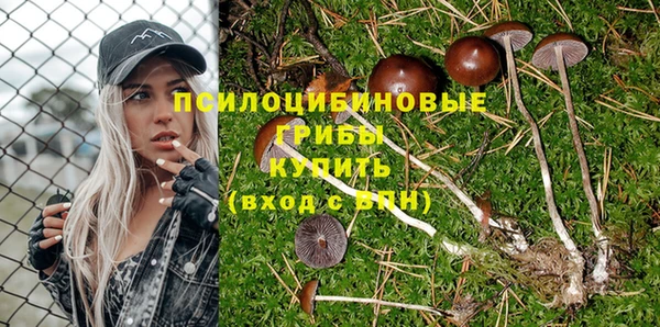 шишки Лиски